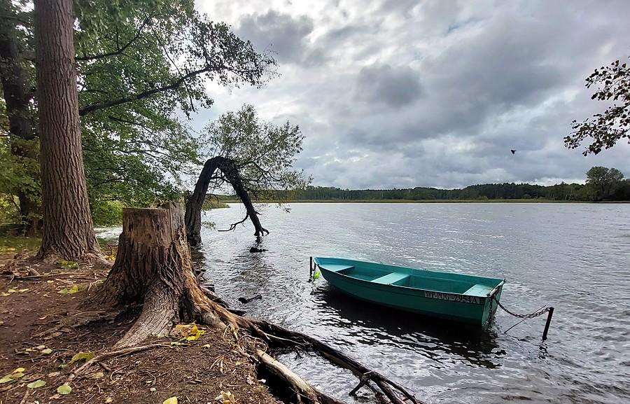 Pochmurny landszaft znad Jeziora Lusowskiego