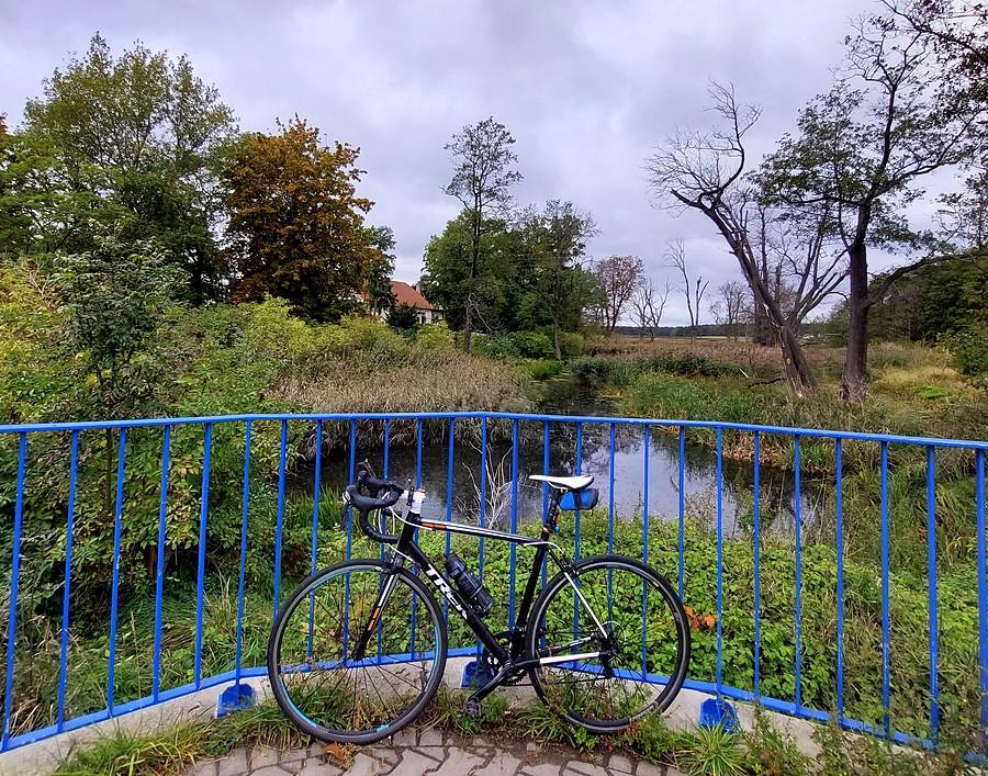 Pochmurno w Trzcielinie