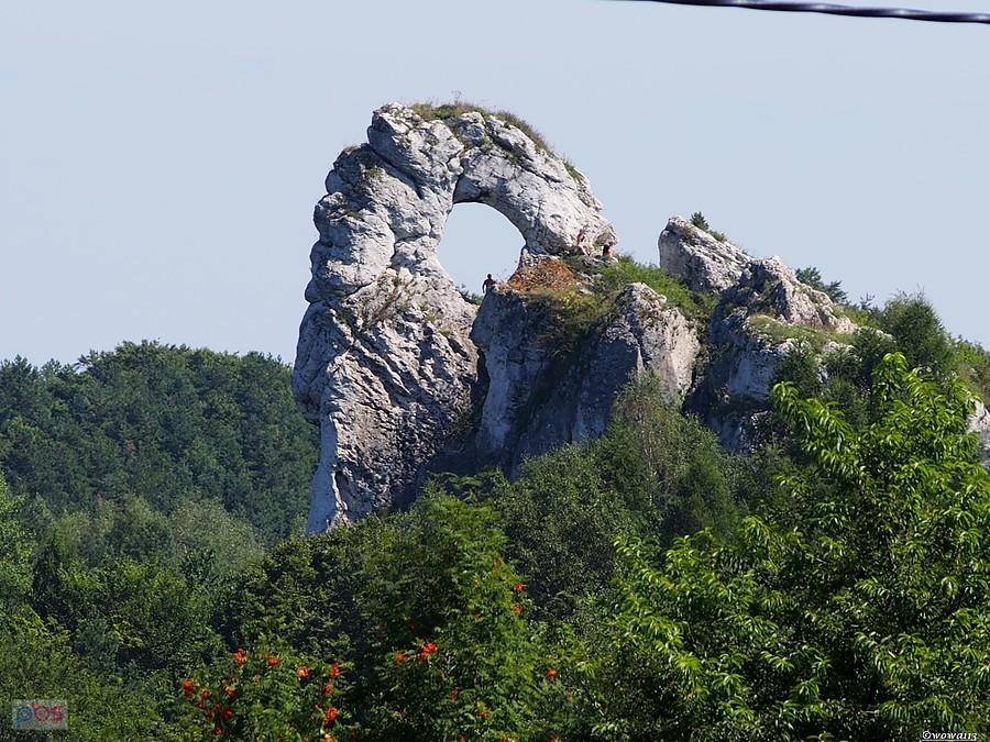 Okiennik Wielki