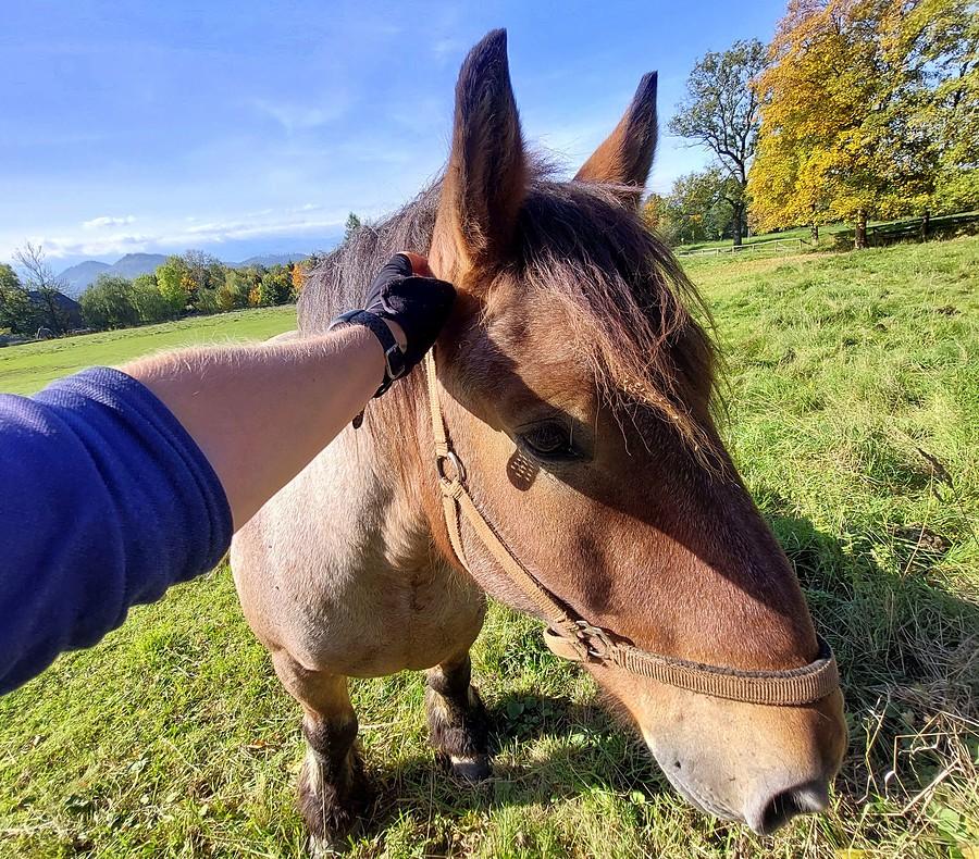 Podrapane? Podrapane :)