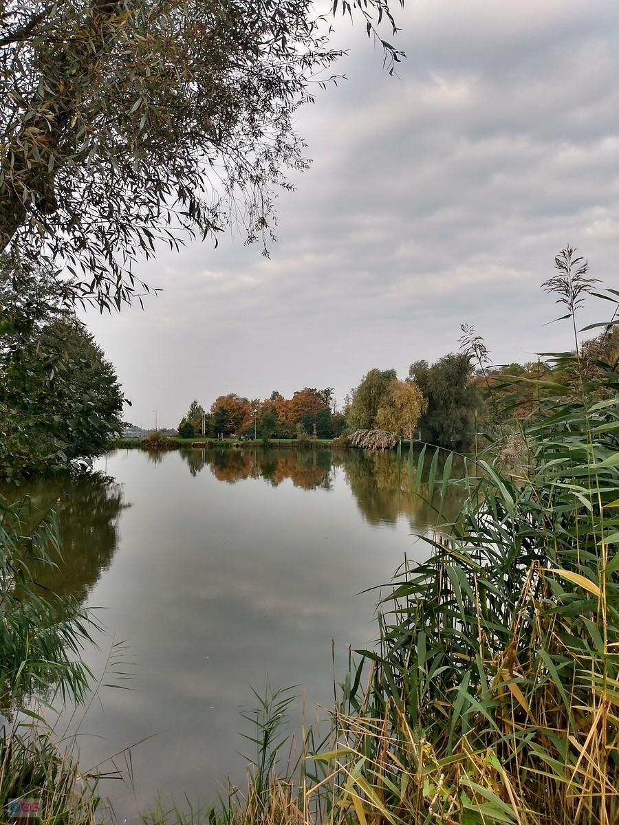 Staw w Zielonkach