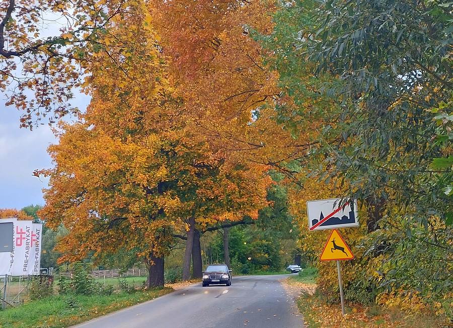 Jesienny wyjazd z Podgórzyna