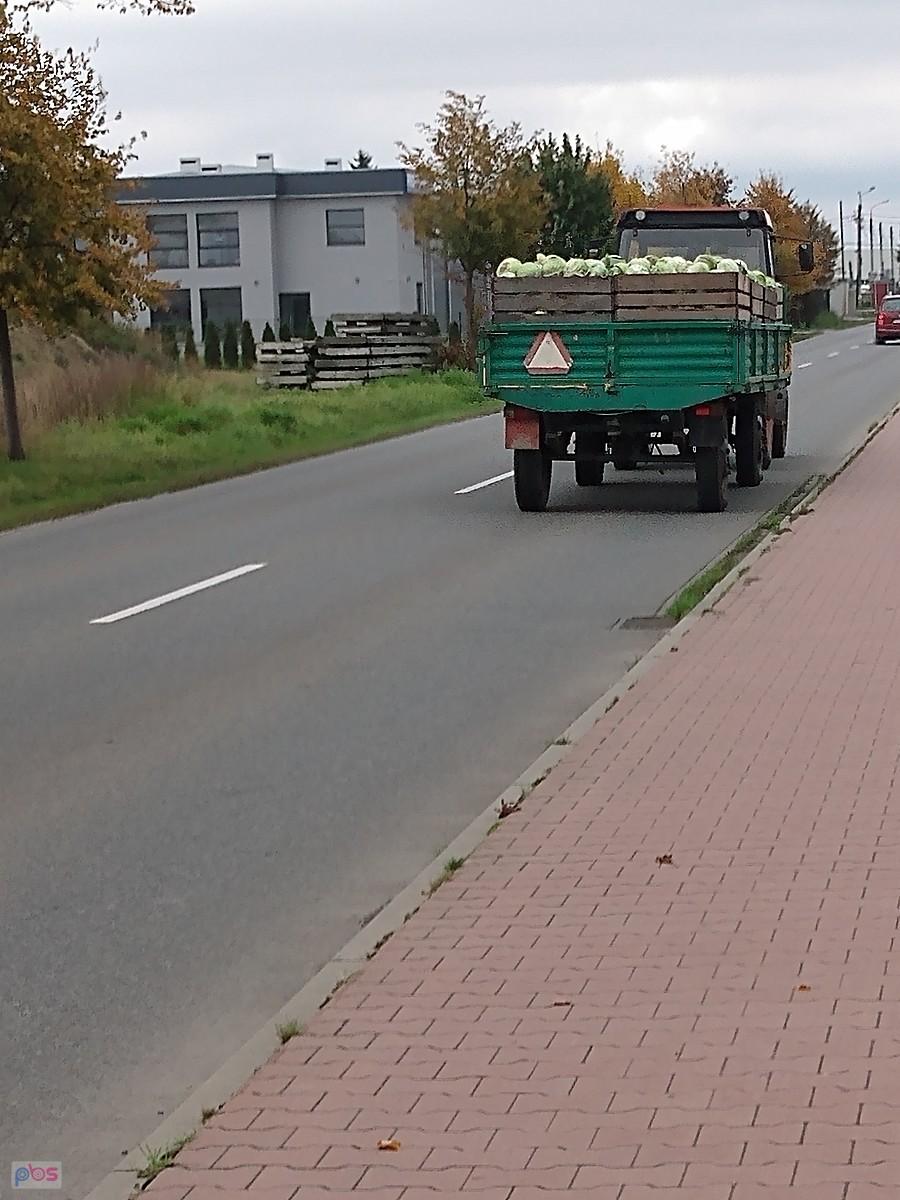 Kapusta zjeżdża z pola