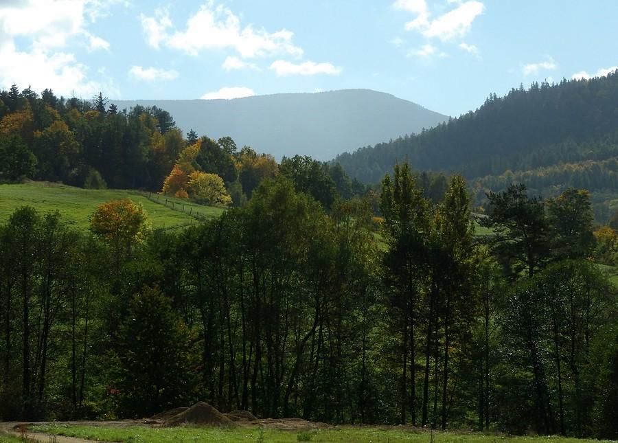 Najfajniejsze są motywy nieoczywiste :)