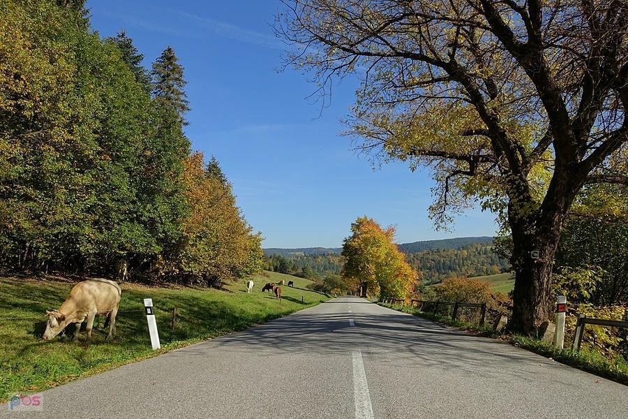 Przez Spisz