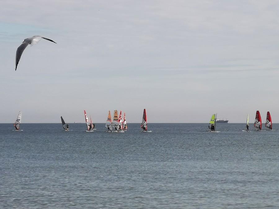 Trening SKŻ Sopot