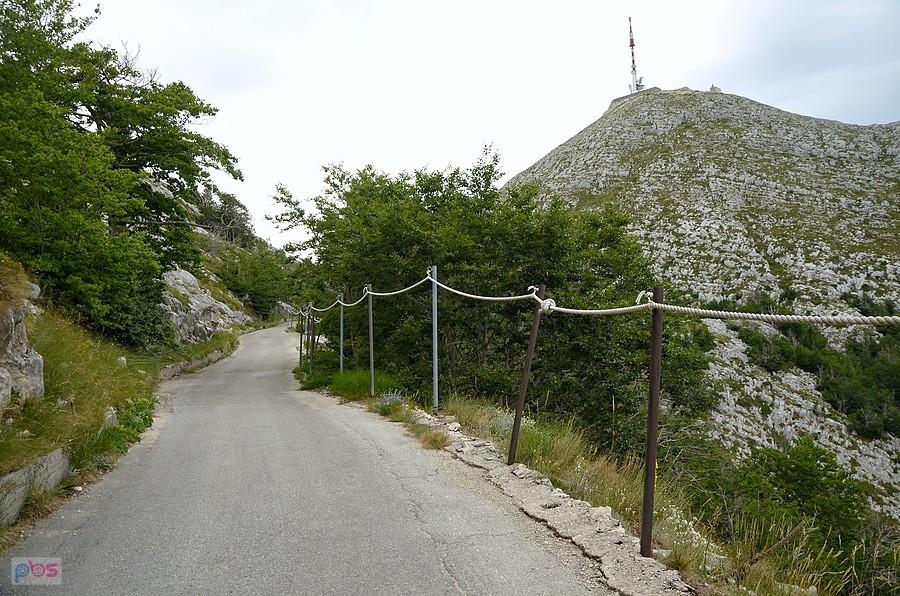 Sveti Jure