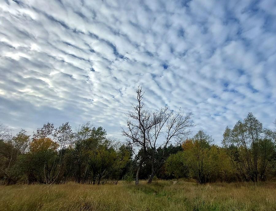 Poszarpane niebo nad poznańską Dębiną