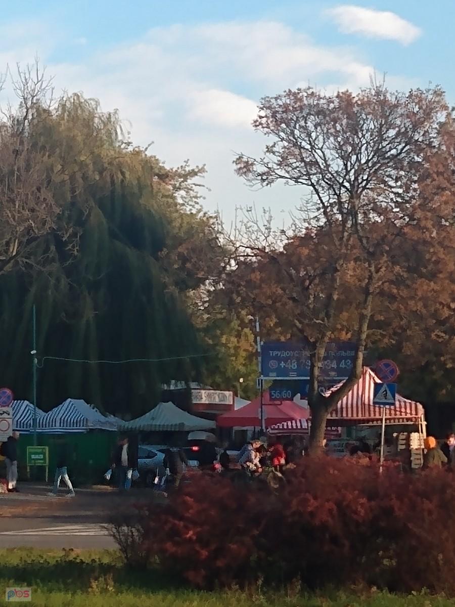 Niedzielny bazar na Olimpii