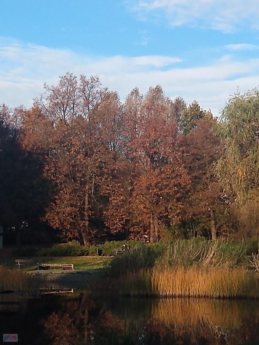 Jesienny park