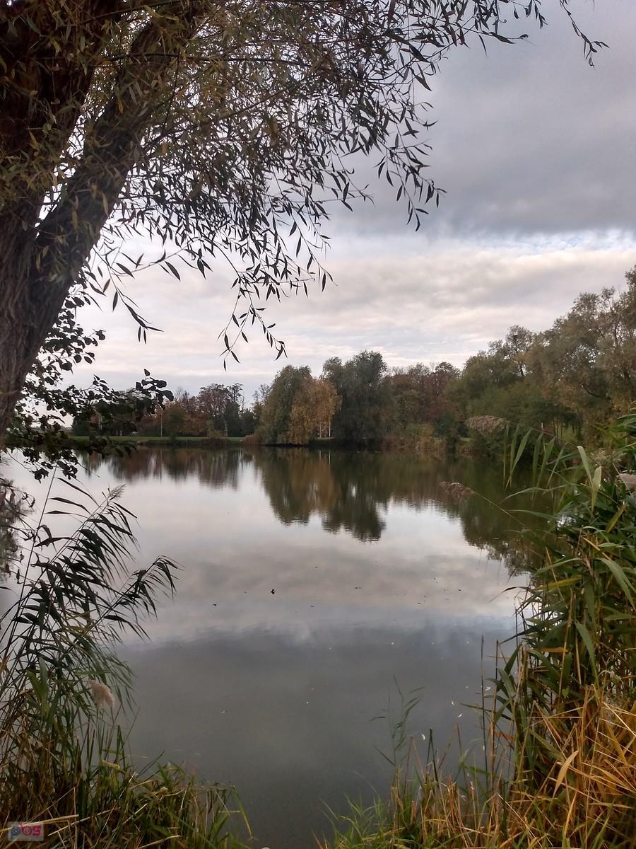 Staw w Zielonkach