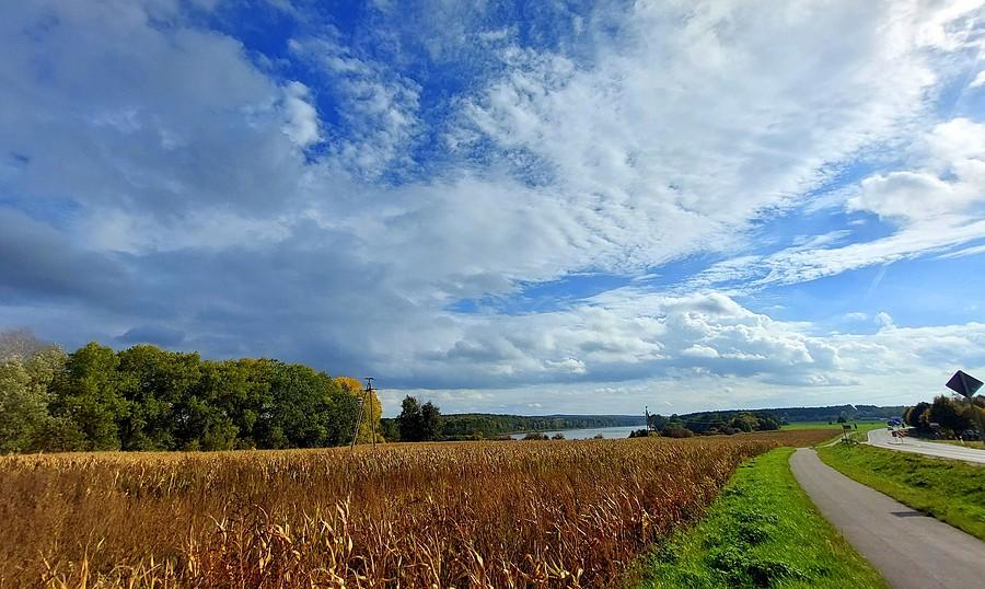 Widok na Jezioro Dymaczewskie