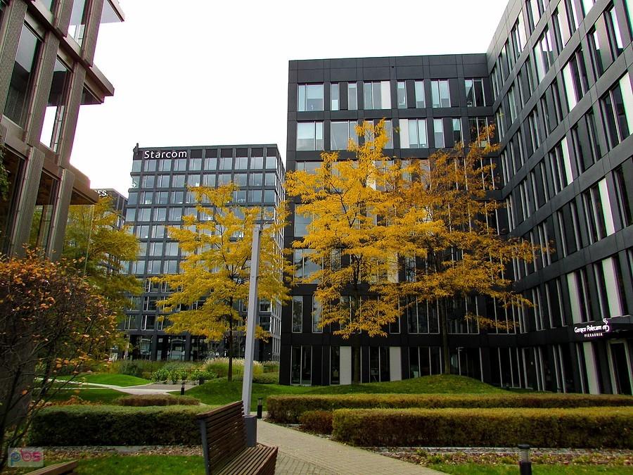 Platinum Business Park