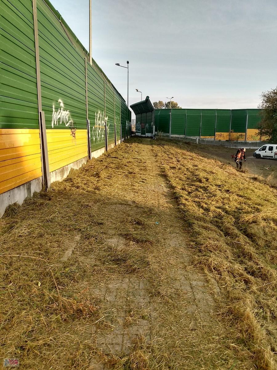 Jesienne koszenie i ddr zasłana skoszoną trawą