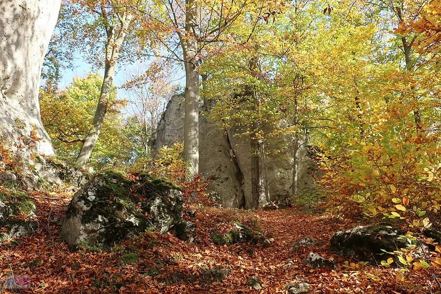 Na Pustelnicy