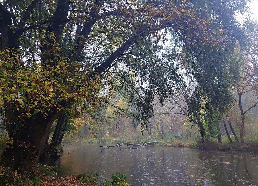 Deszcz na poznańskiej Dębinie
