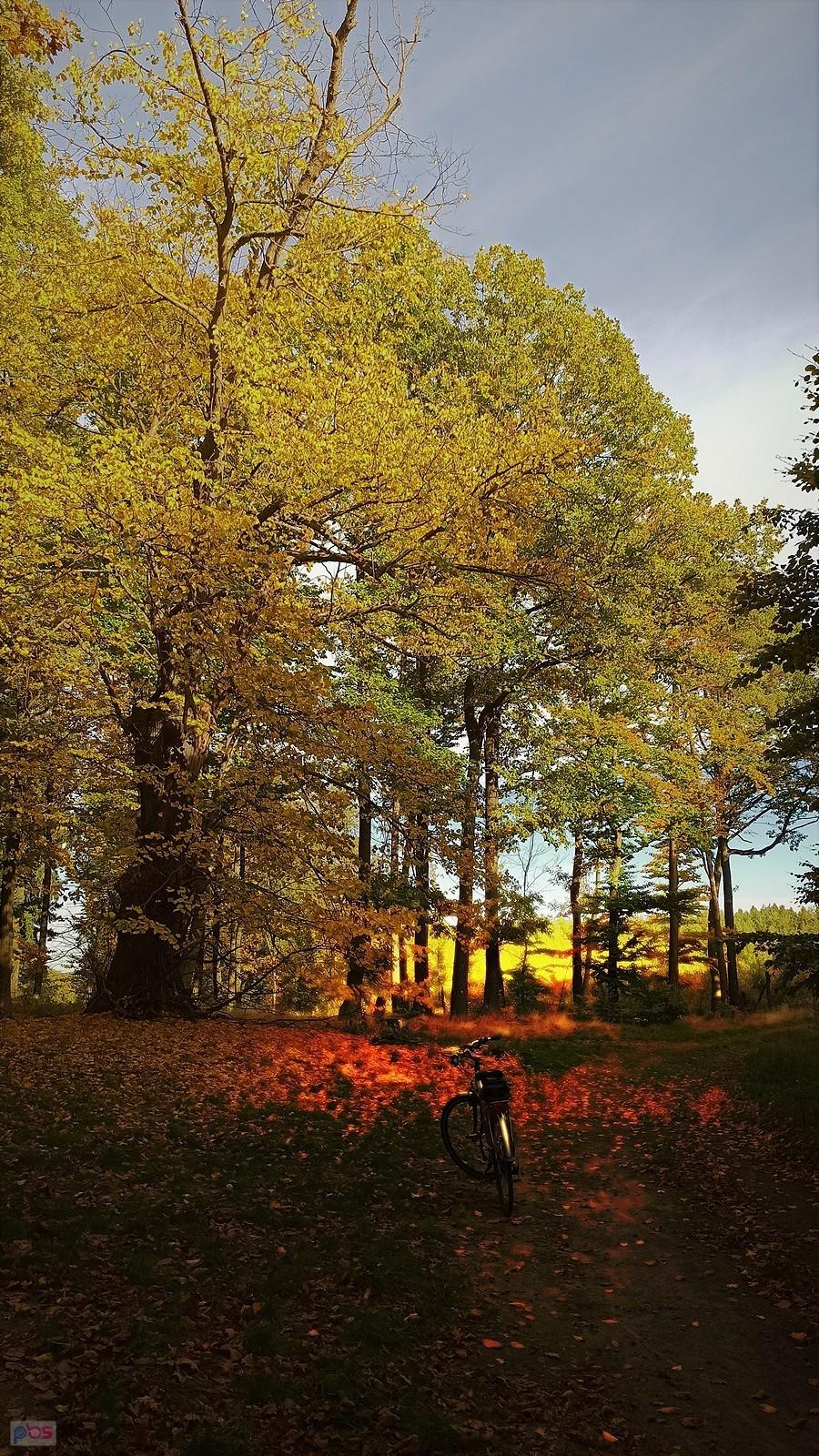 Wzgórza Dalkowskie