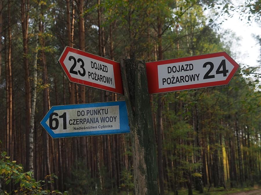 Na krzyżówce dróg