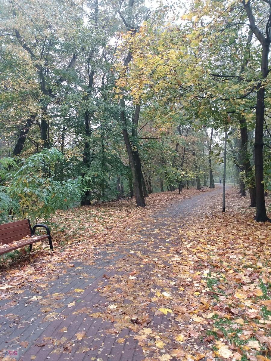 Jesienny park na Forcie Bema