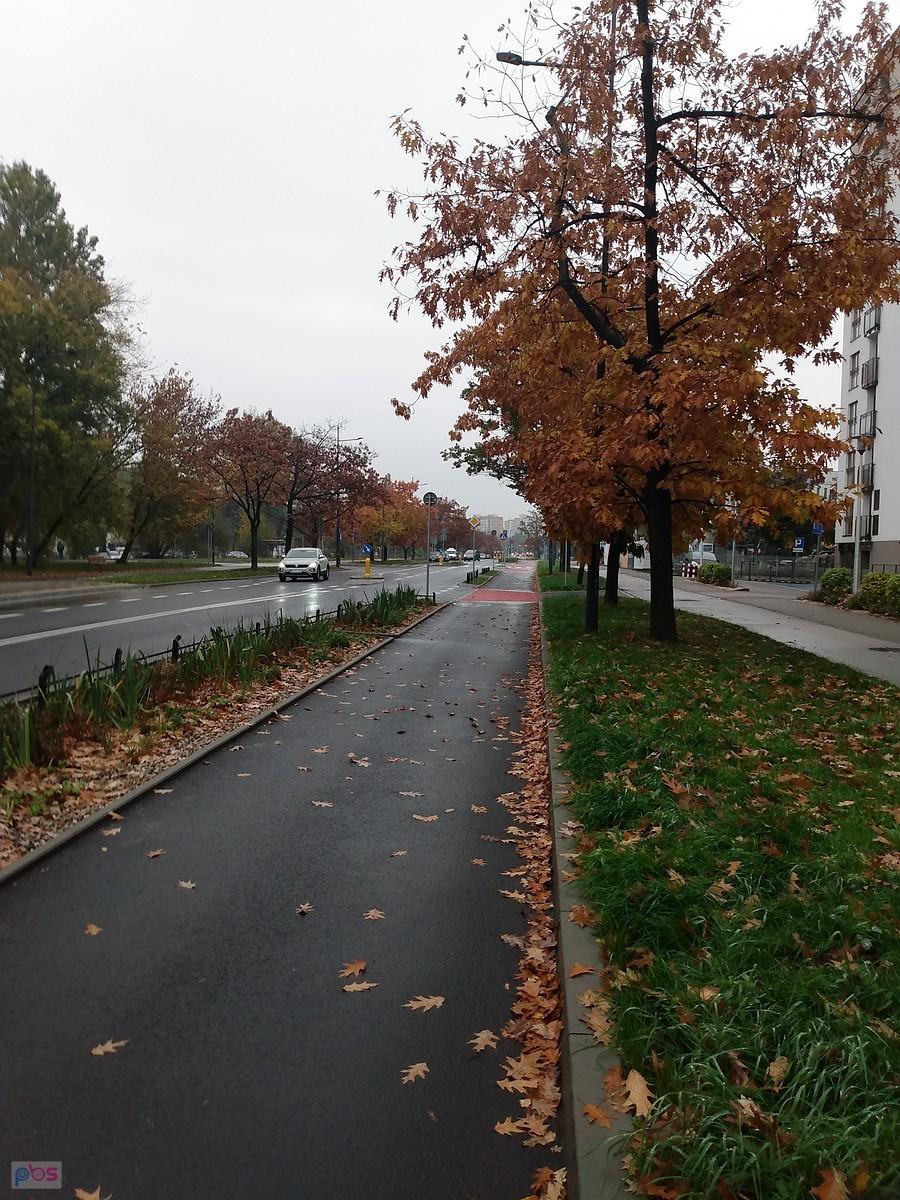 Ładna ddr na Sokratesa