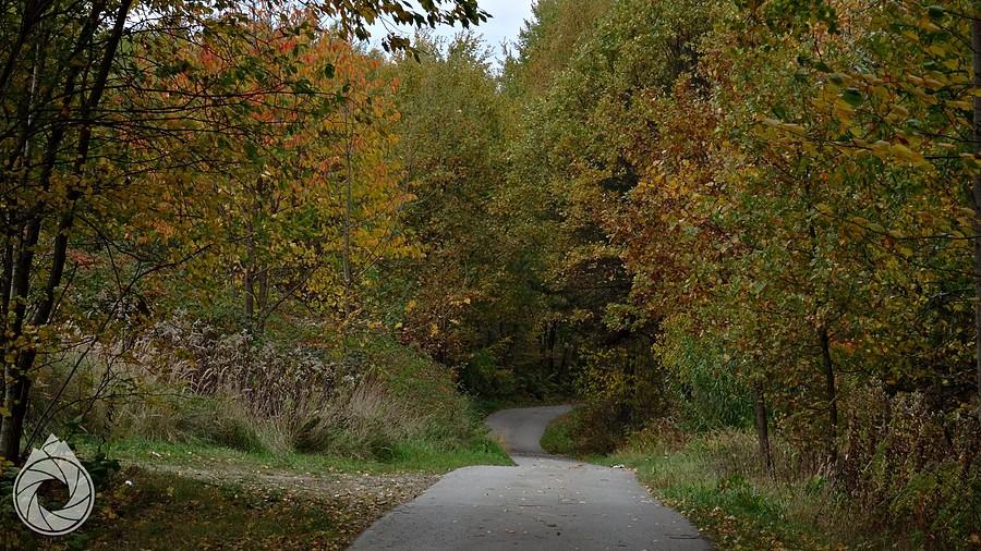 wąska dróżka nad Jawornik