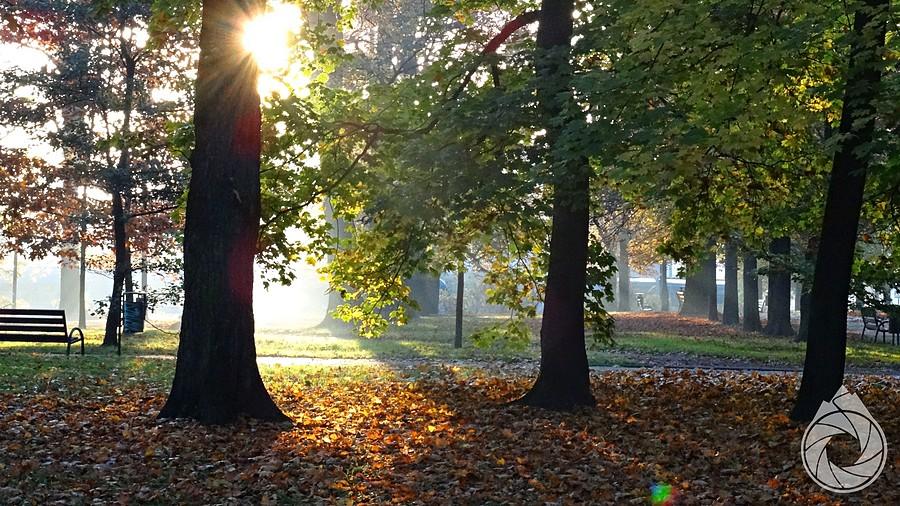poranny park koło Dworca Towarowego