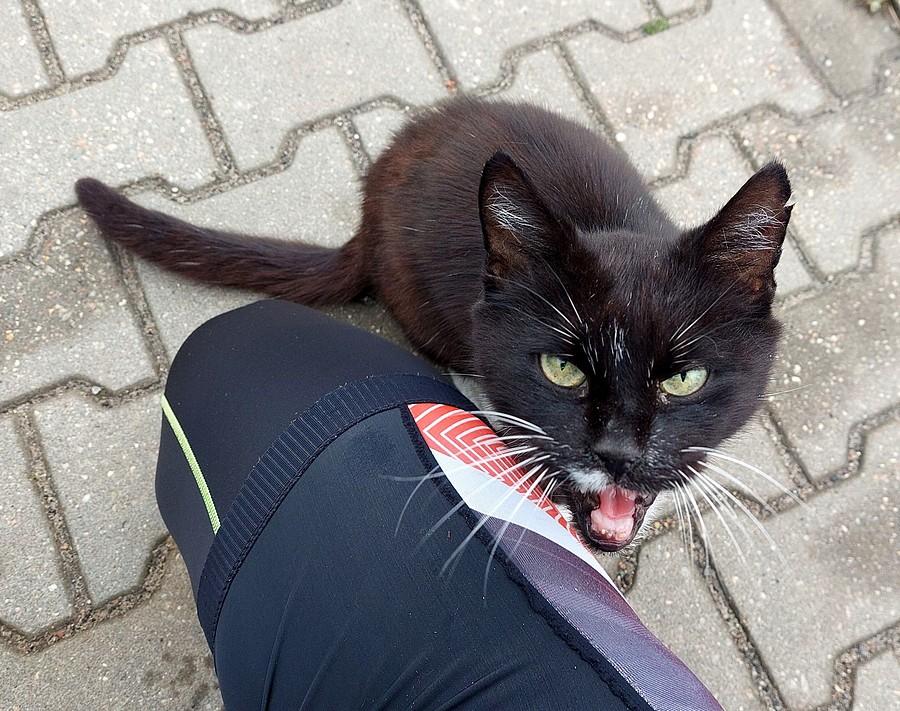 To naprawdę sympatyczna minka :)
