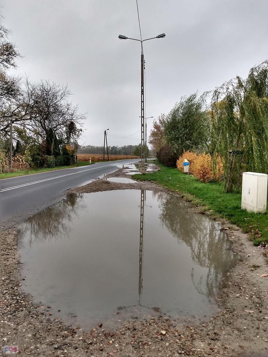 Widać, że padało