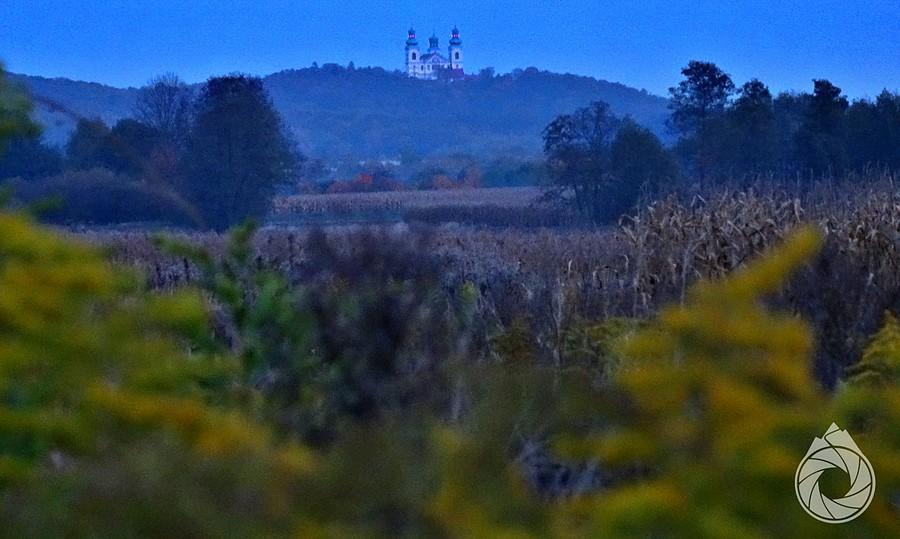 przez kukurydze i nawlocie wygląda klasztor w Bielanach