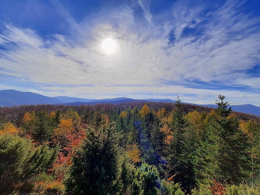 Dwernik Kamień, widok na Bieszczady.