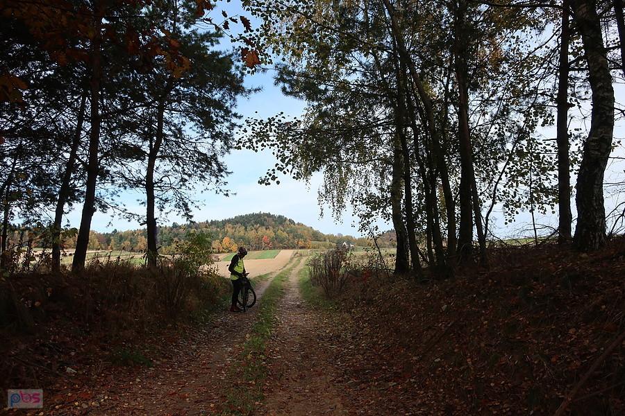 Krzysiek czeka na maruderkę