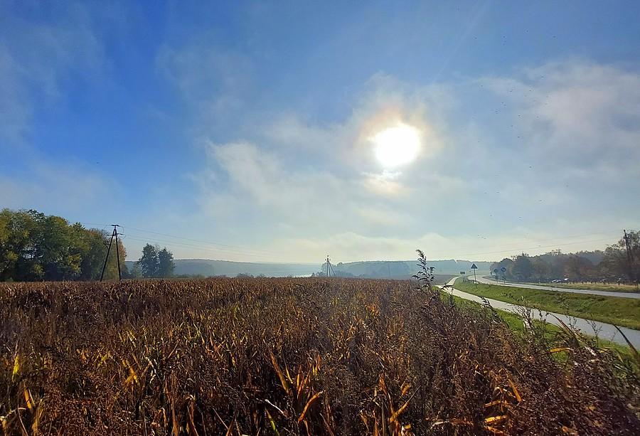 Słońce nad Wielkopolskim Parkiem Narodowym