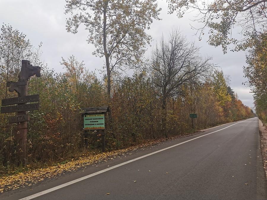 Droga przez Kampinos
