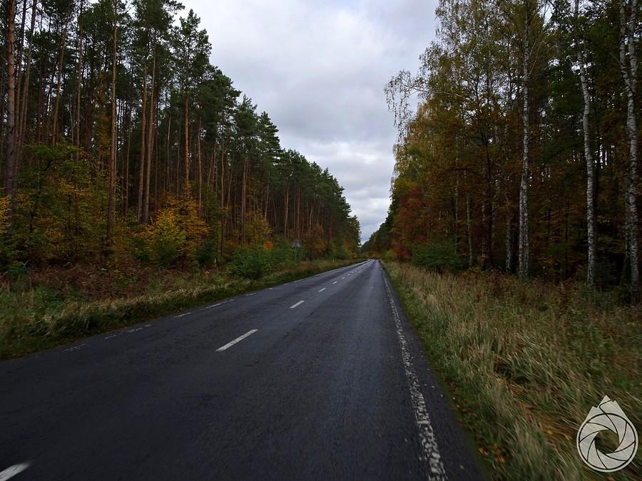 proste drogi prowadzące prosto do Szczecina