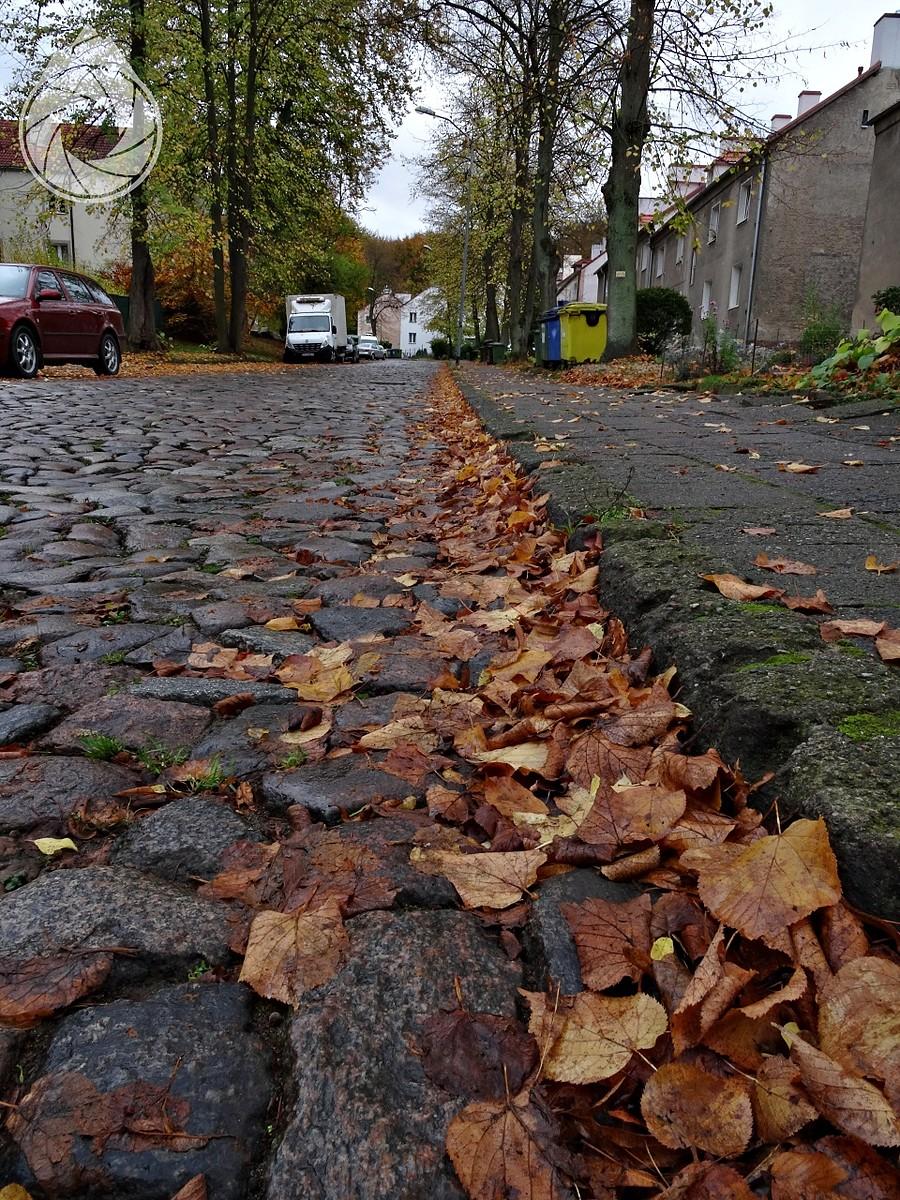bruczek podjazdu z Podjuchów
