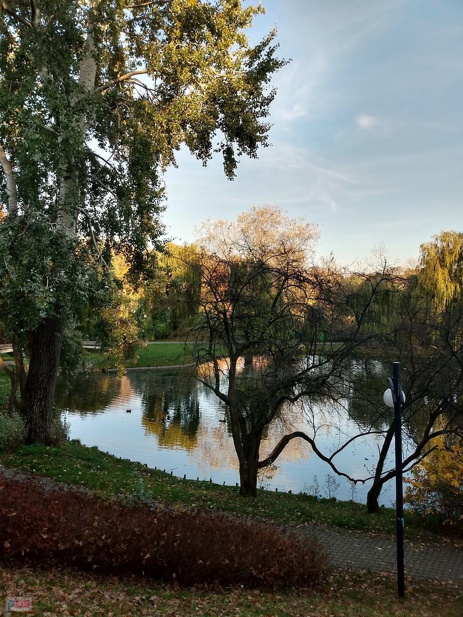 A tu mniejszy staw, też na Moczydle