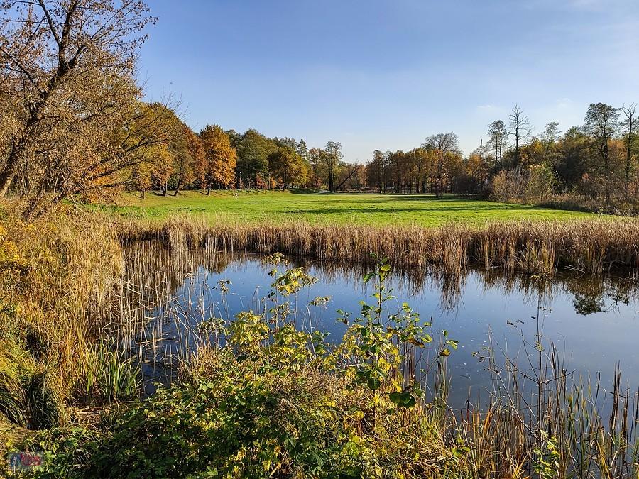 Łąki nad Jeziorką
