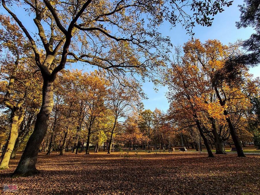 Park Zdrojowy
