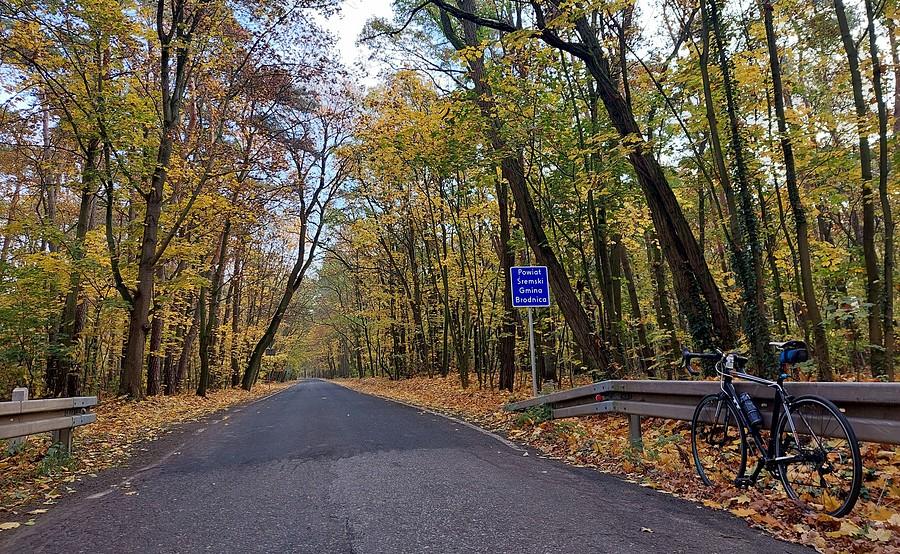Kolorowa granica powiatów