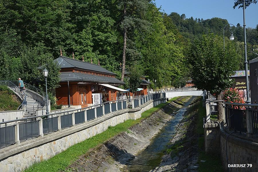 Krynica