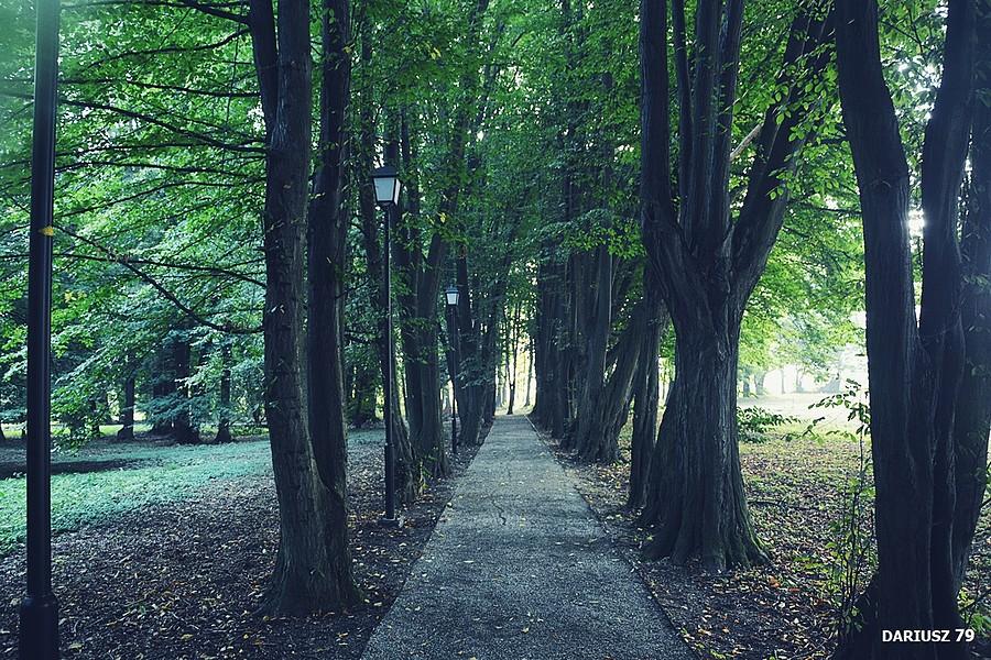 Park w Radłowie