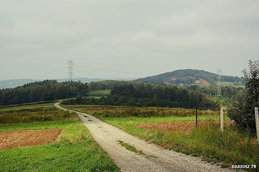Pogórze Wiśnickie - Łysa Góra