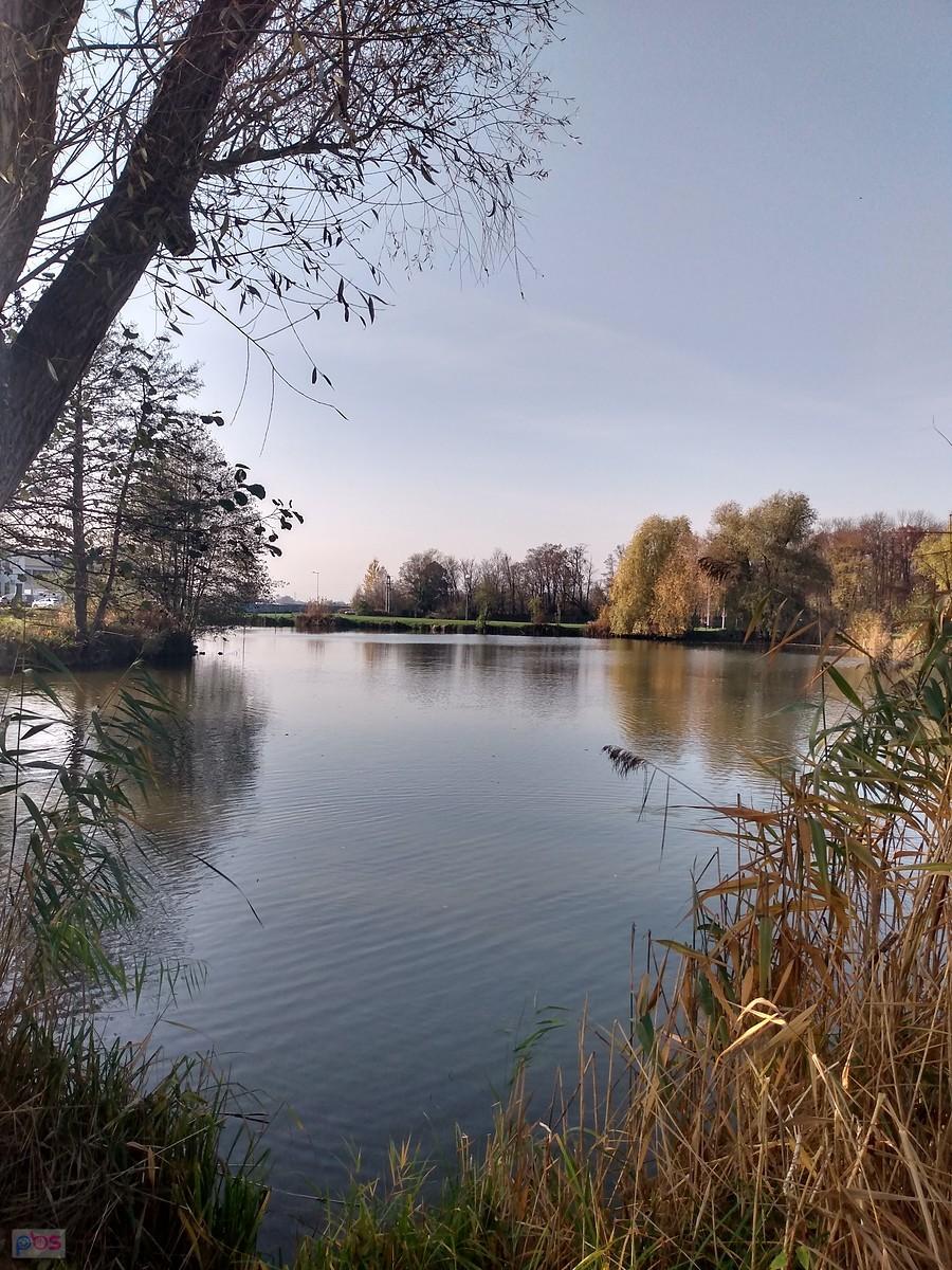 Staw w Zielonkach