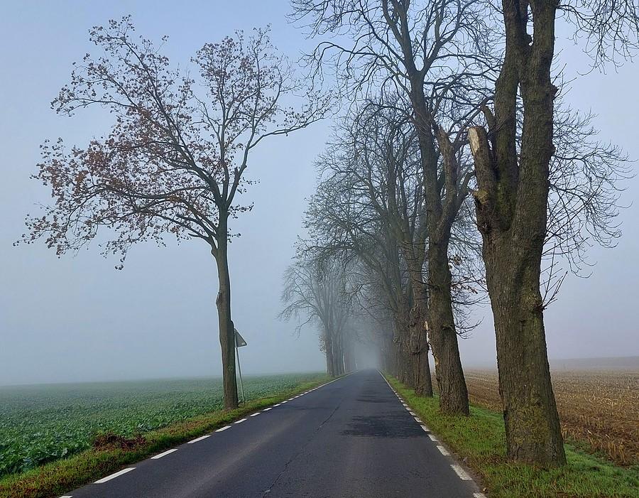 Coś tam było widać :)