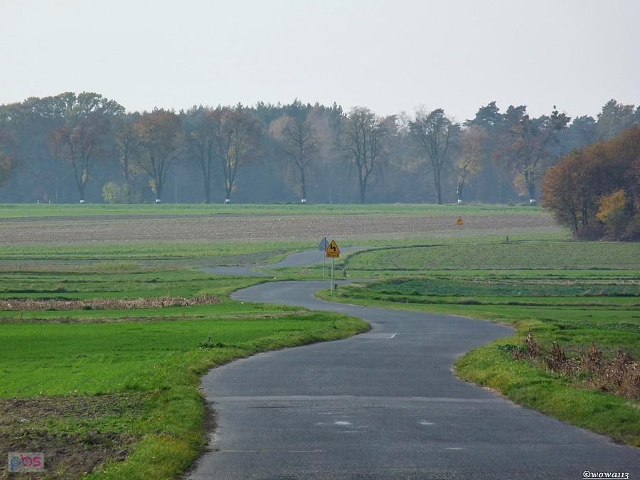 Do Dąbrówki
