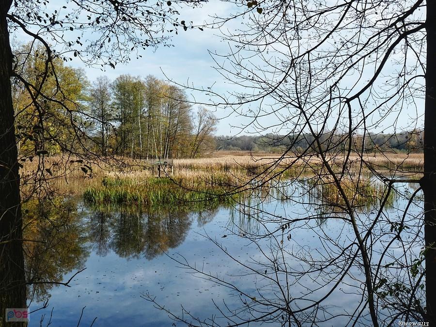 Staw Hubertus
