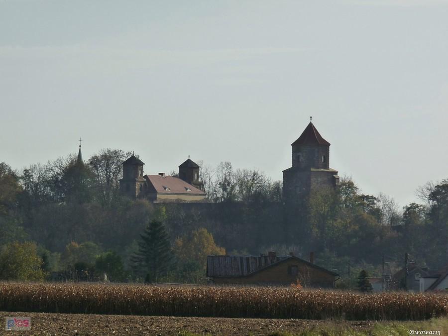 Zamek w Toszku