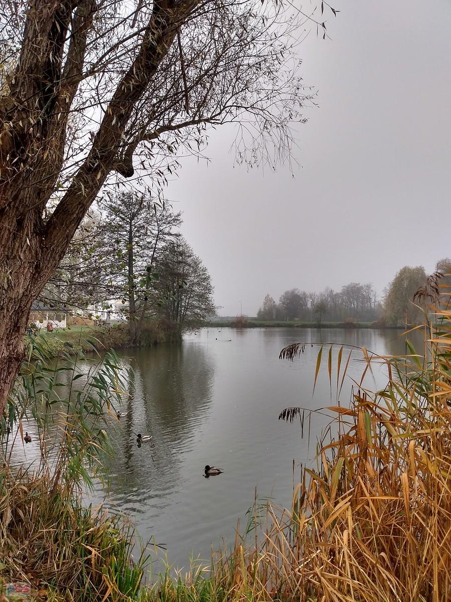 Staw w Zielonkach