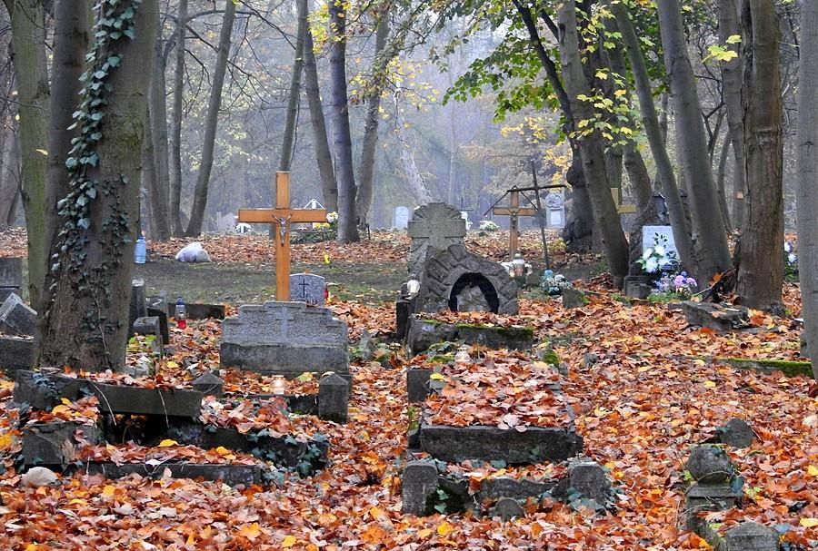 Nagrobki w resztkach liści, cmentarz przy Samotnej, Poznań
