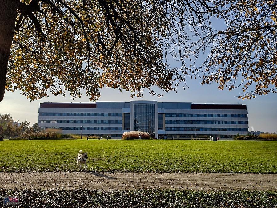 Wydział Rolnictwa i Biologii SGGW